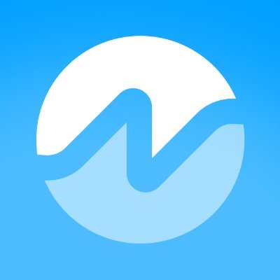 NMX logo