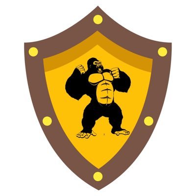 SAFEYIELD logo
