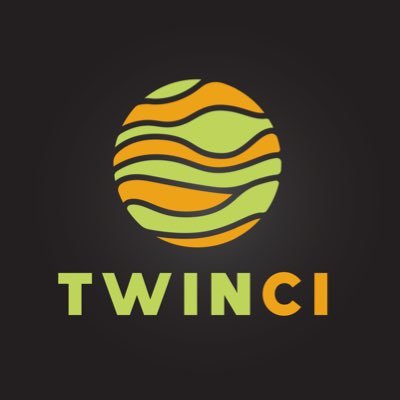 TWIN logo