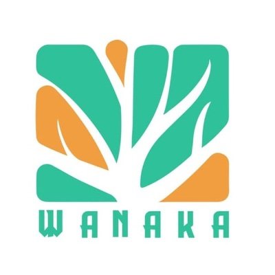 WAI logo