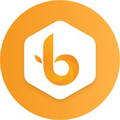 BIST logo