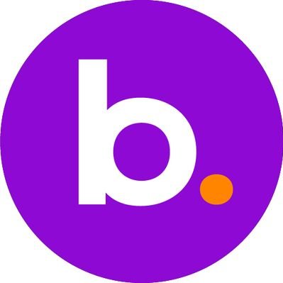 BNSD logo