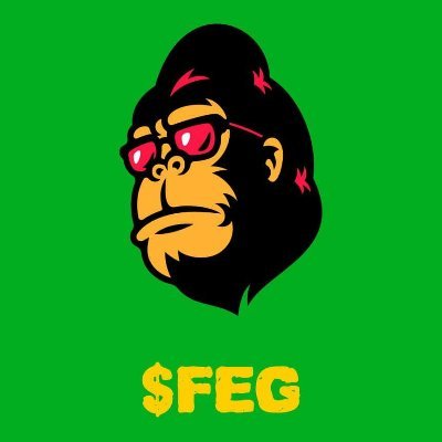 FEG logo