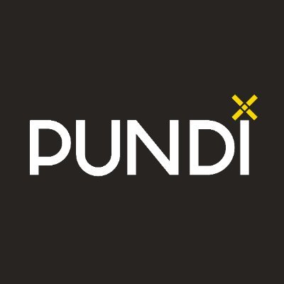 PUNDIX logo PUNDIX logo