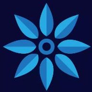 SAS logo
