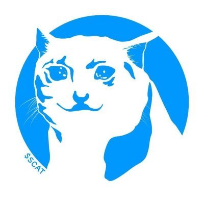 SCAT logo