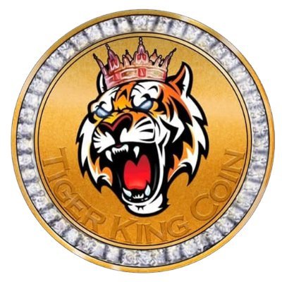 TKING logo