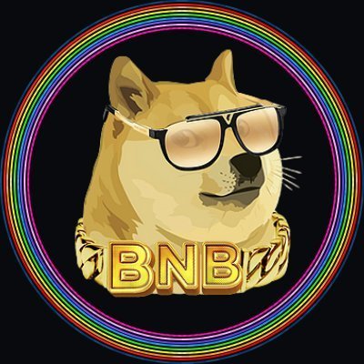 DogeBNB logo