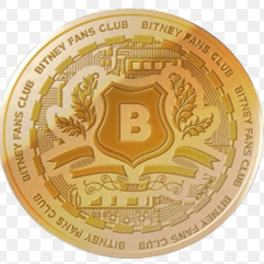 BITNEY logo