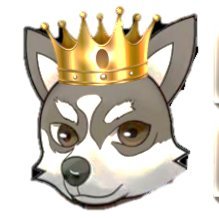 FirstDoge logo