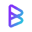 BRISE logo BRISE logo