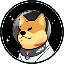 Doge1 logo