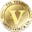 VSL logo VSL logo